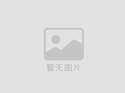 皮帶輸送機(jī)